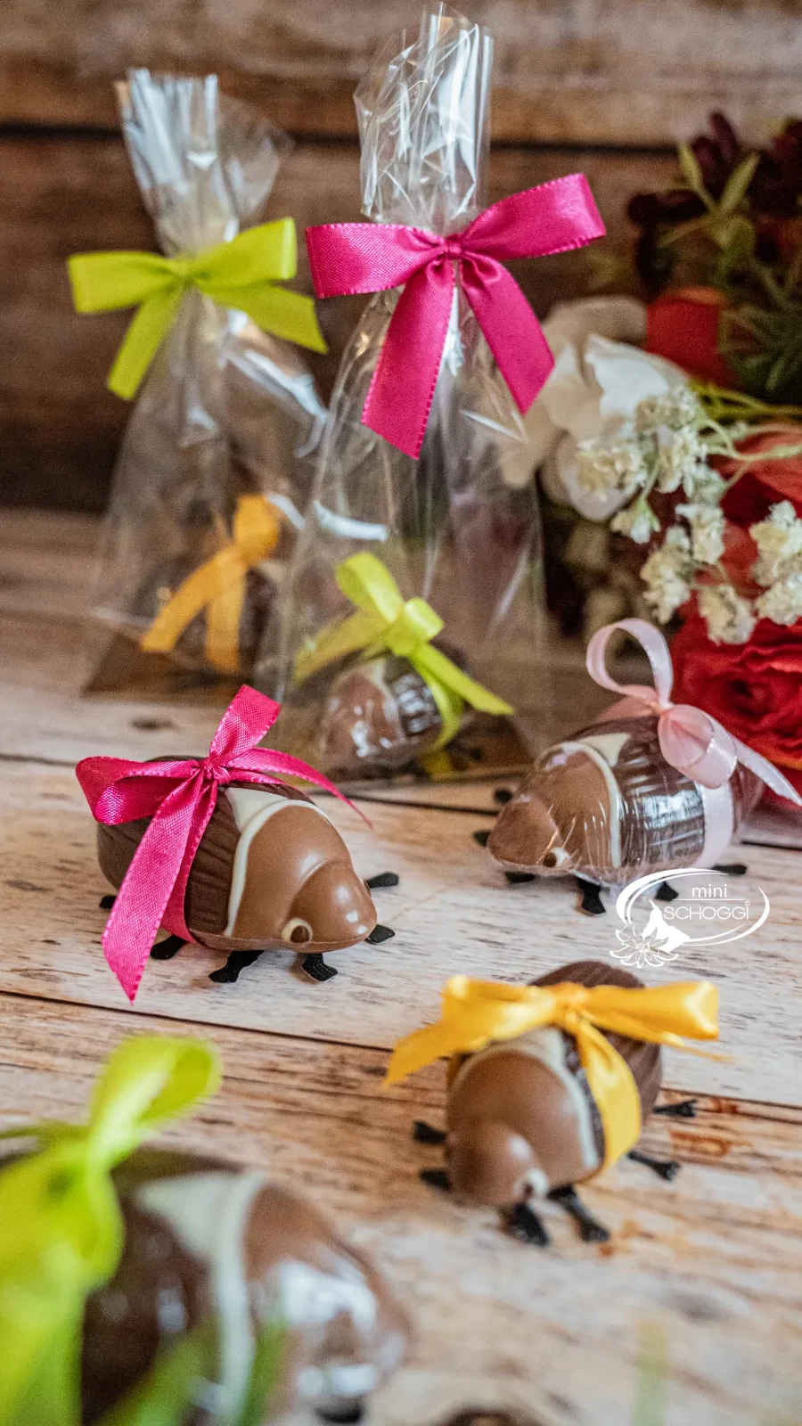 Maggiolino di cioccolato da vicino, gli occhi dipinti sono ben riconoscibili