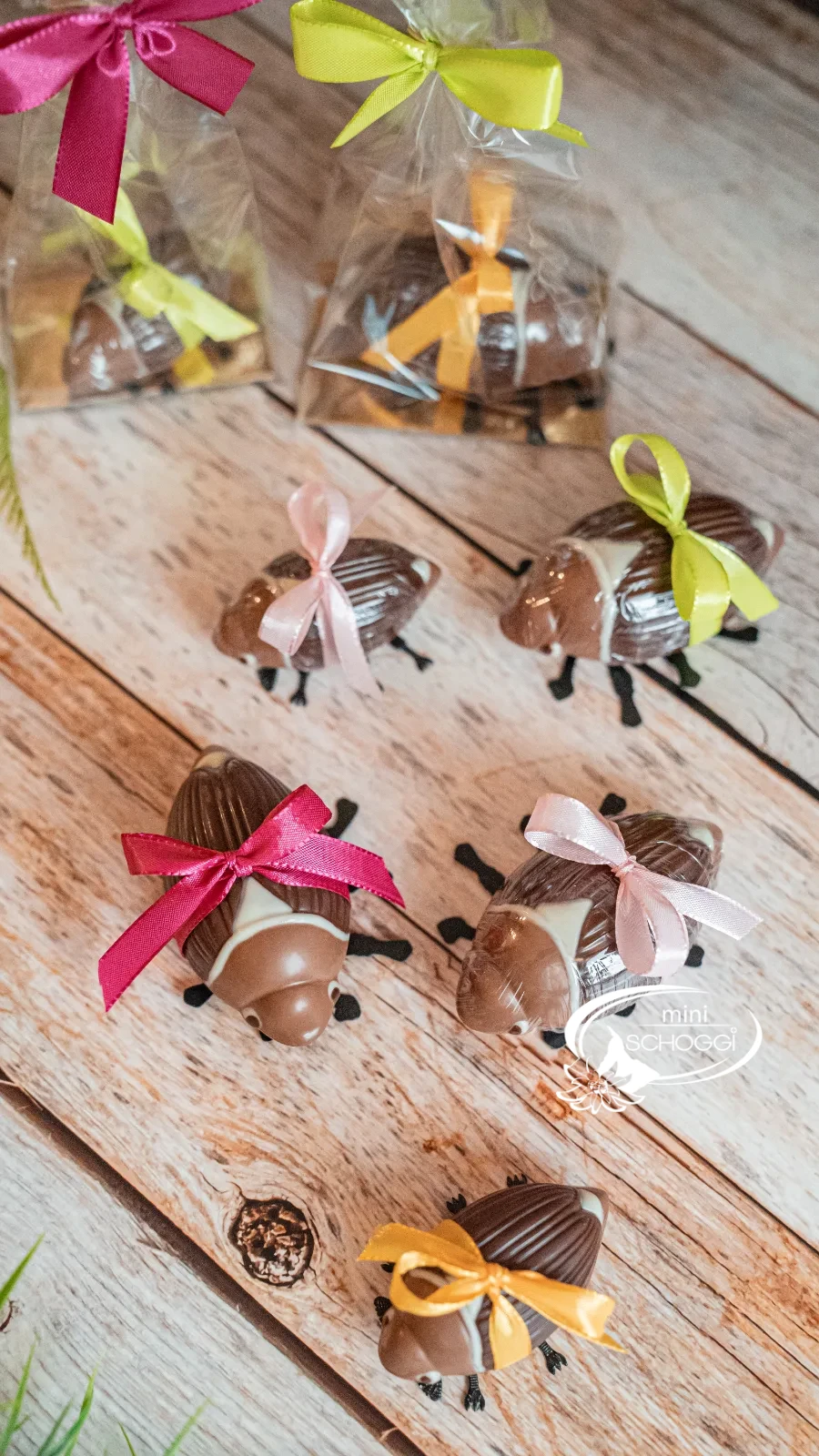 Maggiolino di cioccolato da vicino, gli occhi dipinti sono ben riconoscibili