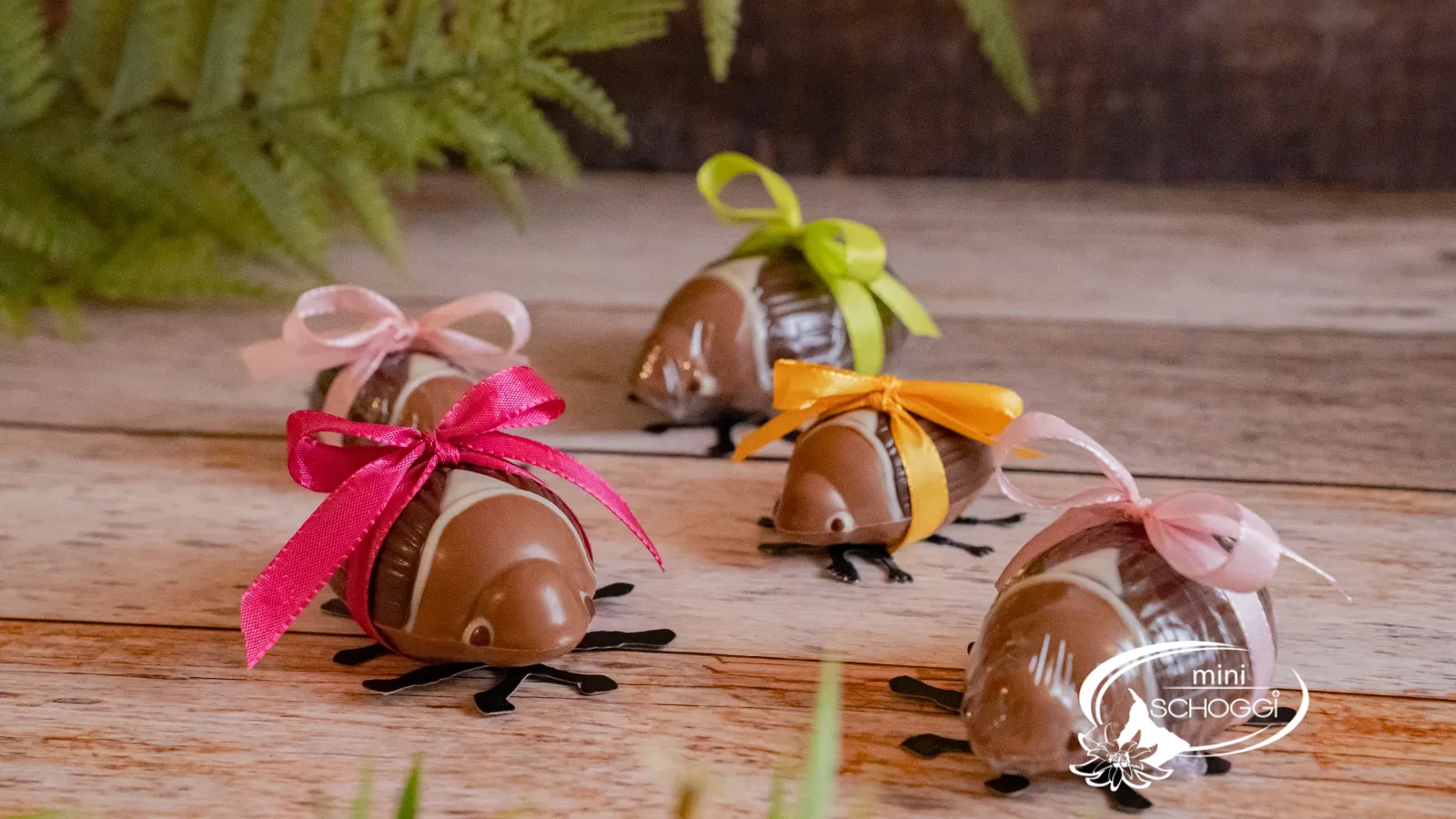 Maggiolino di cioccolato da vicino, gli occhi dipinti sono ben riconoscibili
