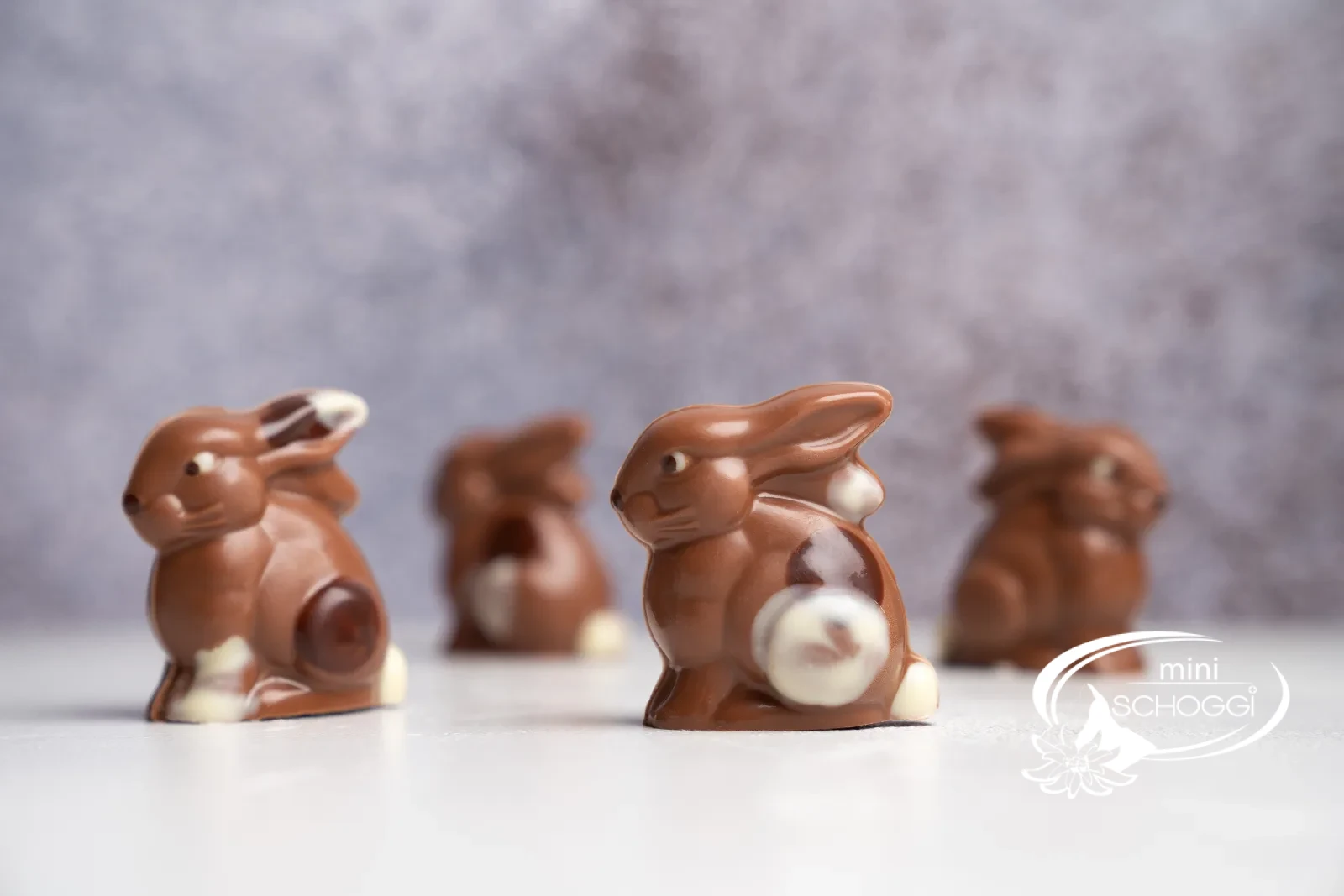 Conigli di cioccolato tra delicati fiori primaverili