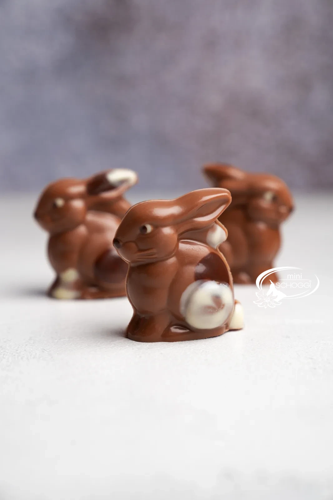 Conigli di cioccolato tra delicati fiori primaverili