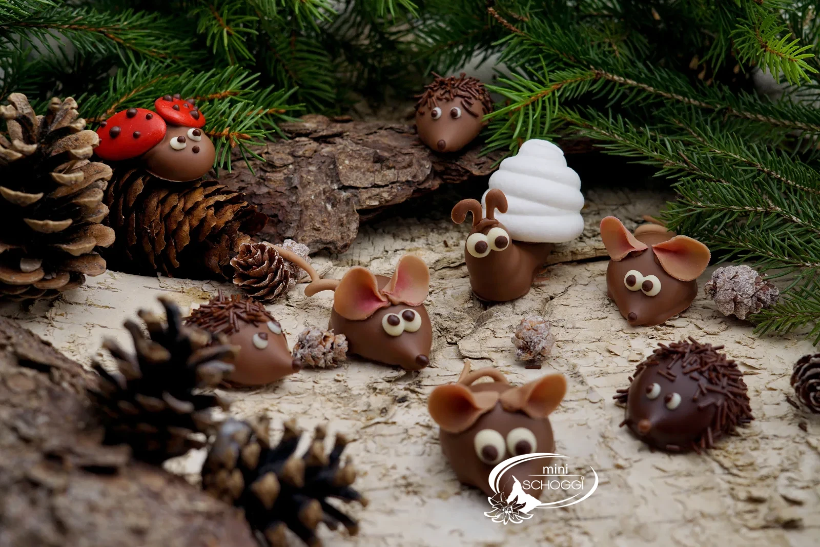 Topolini di pralina con ganache al burro e ovoli malefici su un croccante fondo di bosco