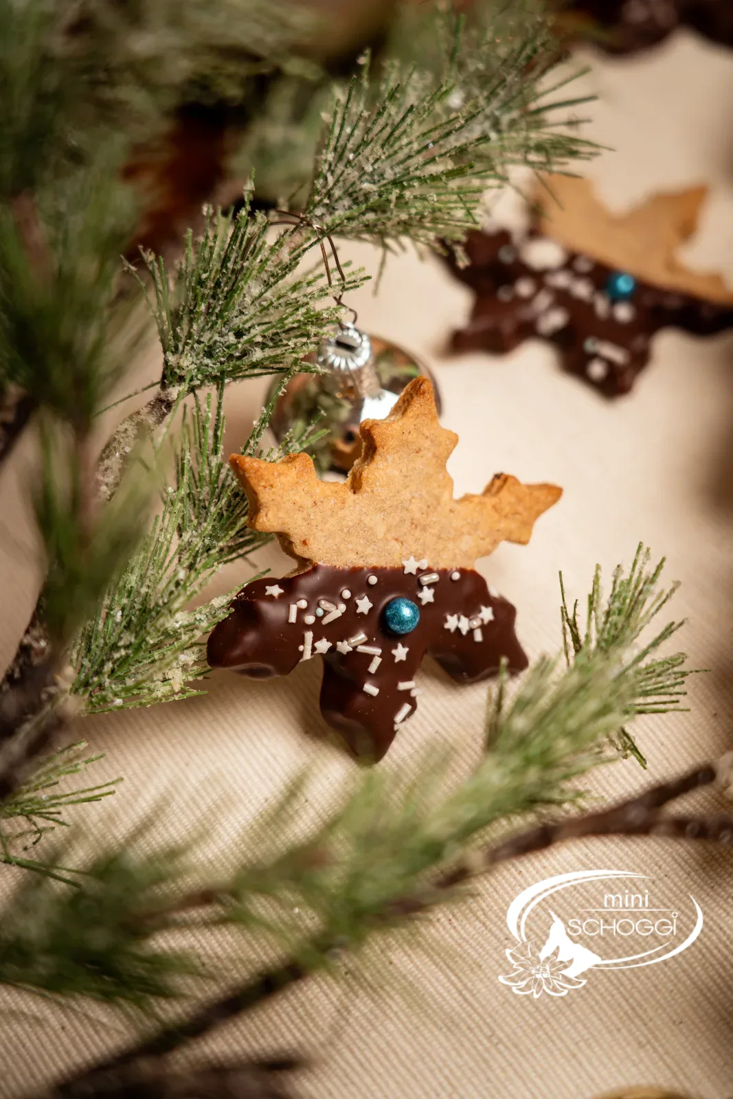 Vollkorn Cookie zwischen Tannenzweigen