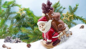 Winter & Christmas