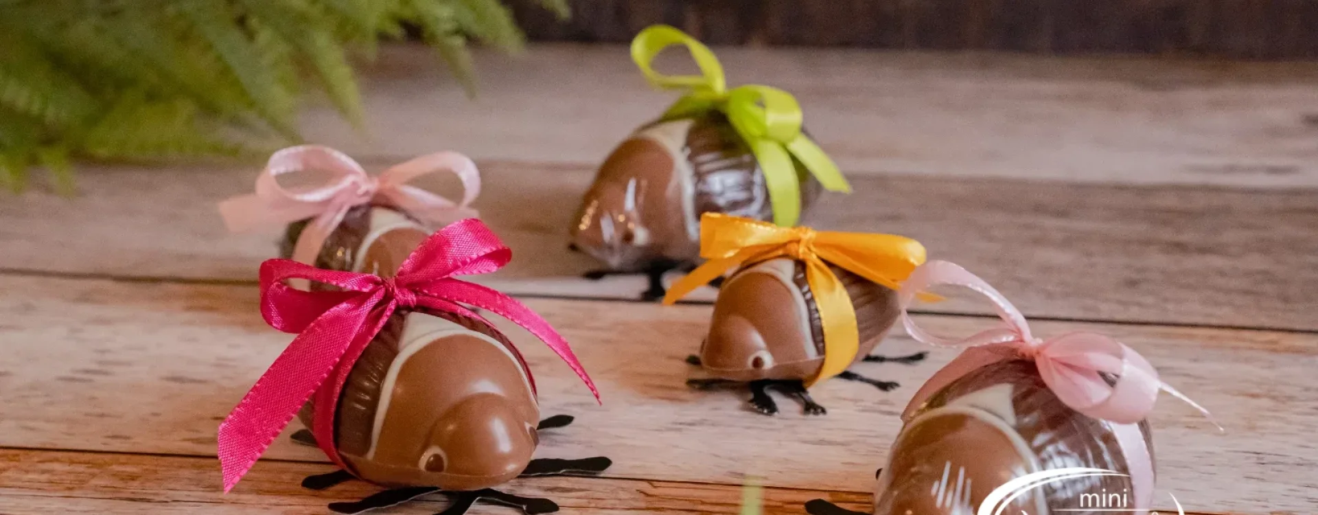 Maggiolino di cioccolato