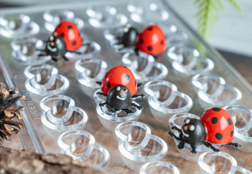 Make your own ladybird chocolates